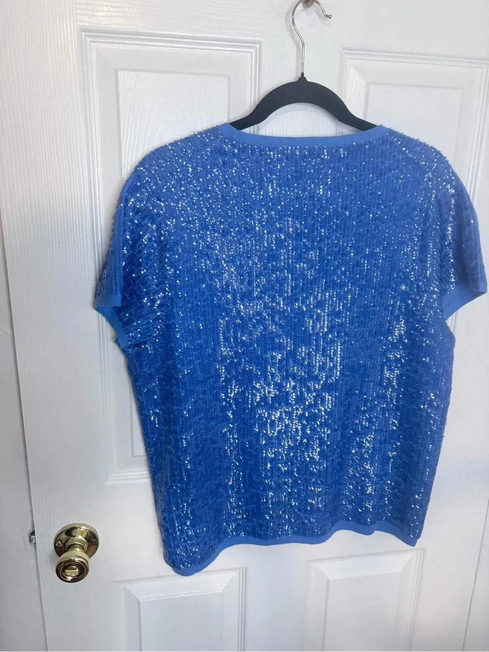 J.Crew Collection Sequin Merino Wool Cap Sleeve Sweater Tee Blue XL